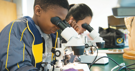 STEM: What Do Your Young People Actually Know?